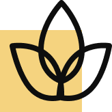 Reception (24x7 / Limited)